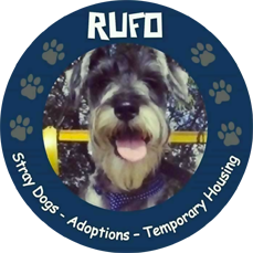 Logo Fundacion Rufo