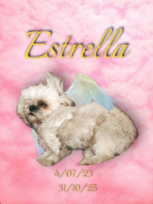 ESTRELLITA