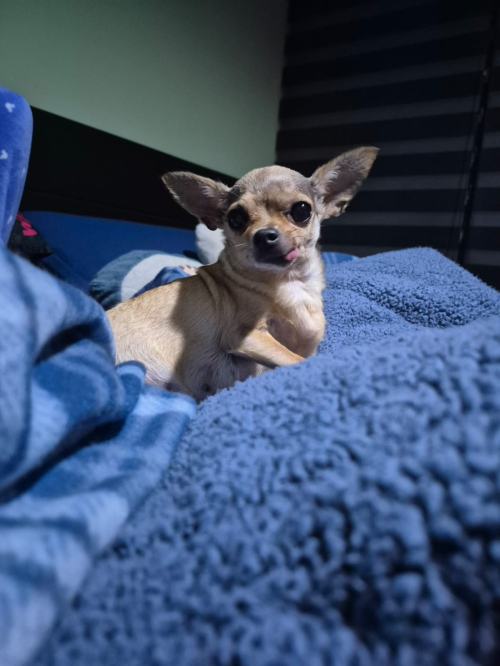 LUCKY - ÑAÑA
