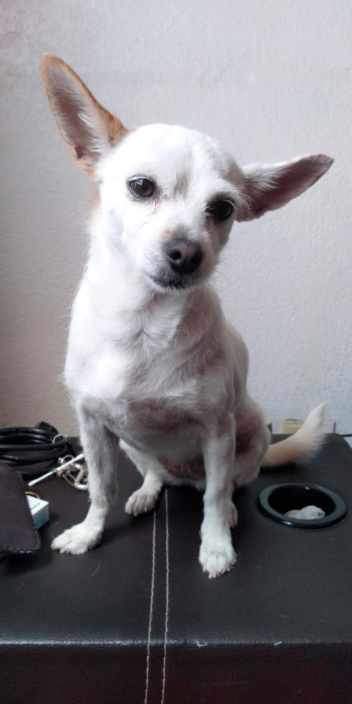 CHLOE