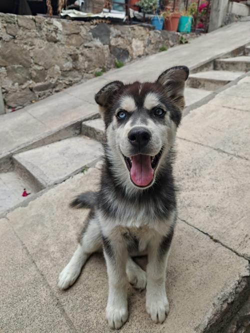 LOBITO
