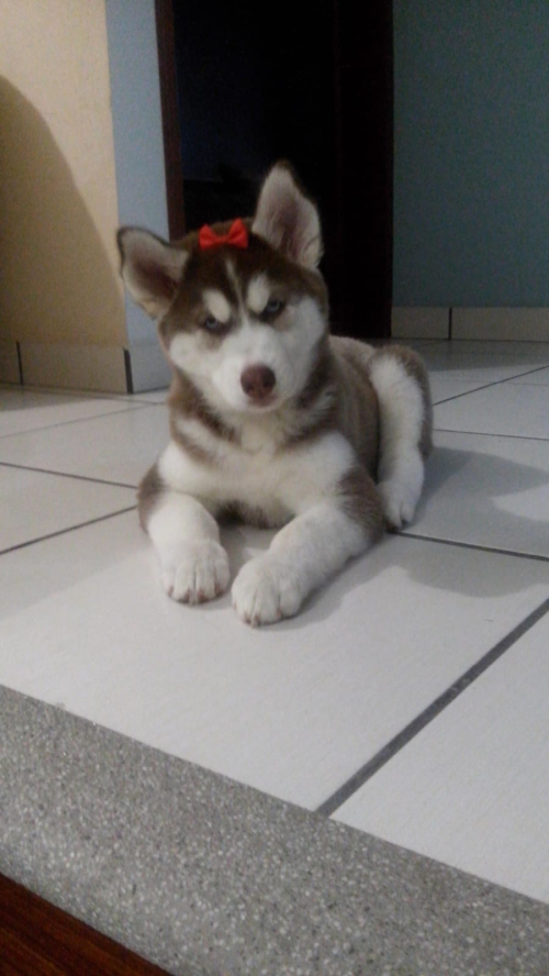 DANNA