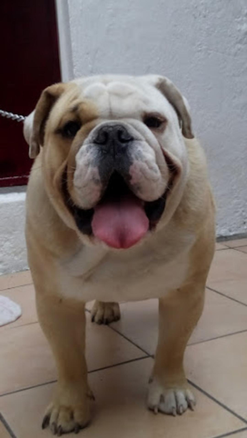 ZEUS