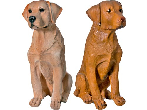 Labrador
